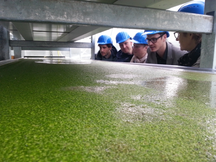 POWERSTEP regional event in Döben