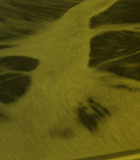 POWERSTEP energy audits: Interview with Dines Thornberg of BIOFOS